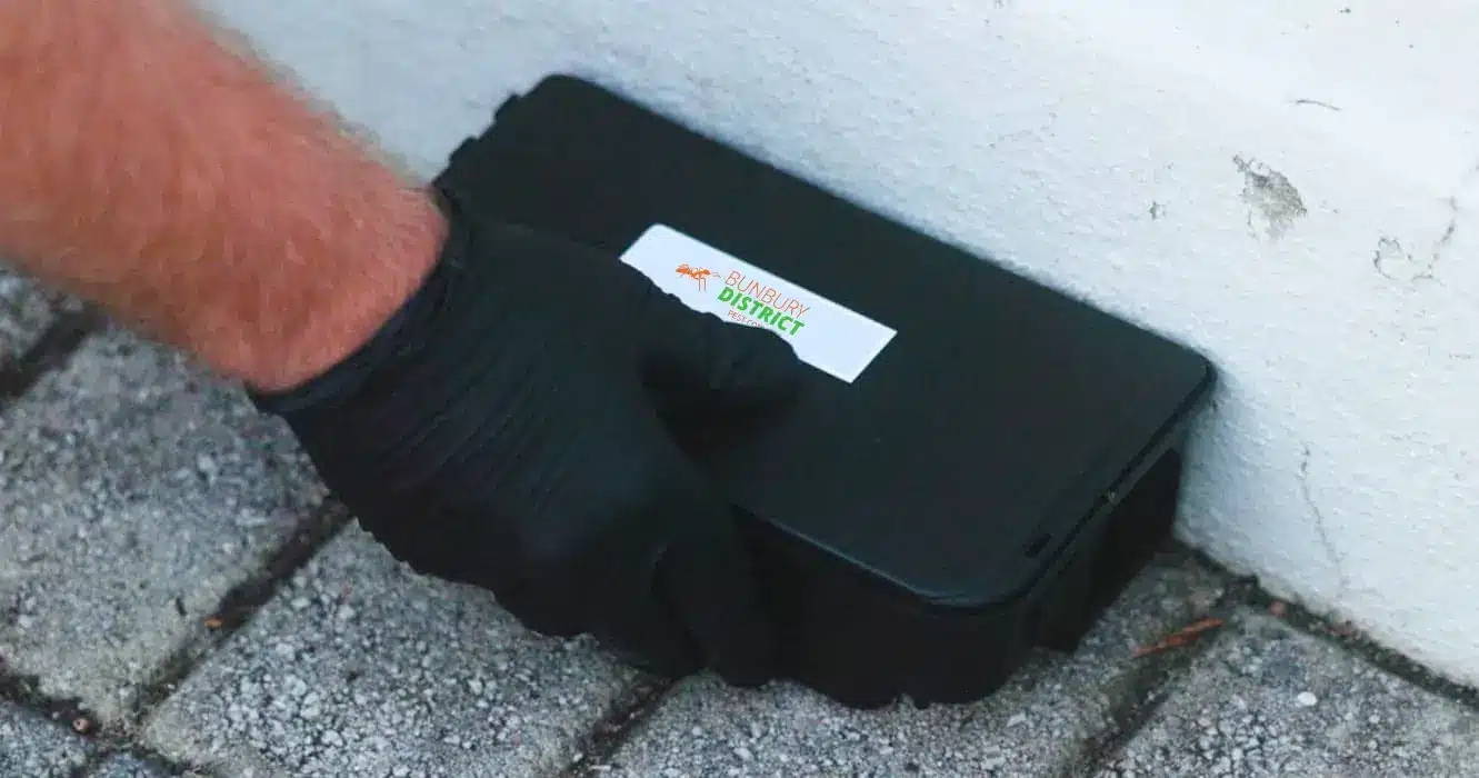 ant pest control bunbury