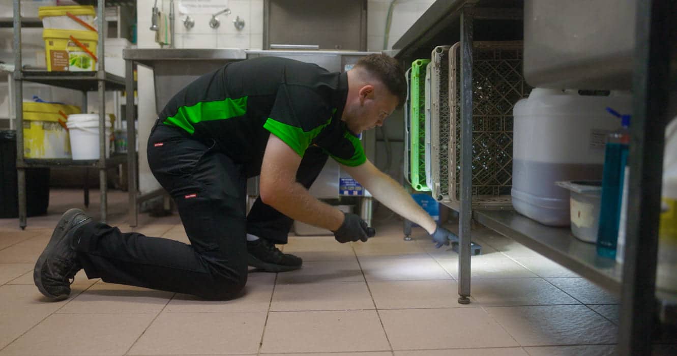 best pest control bunbury