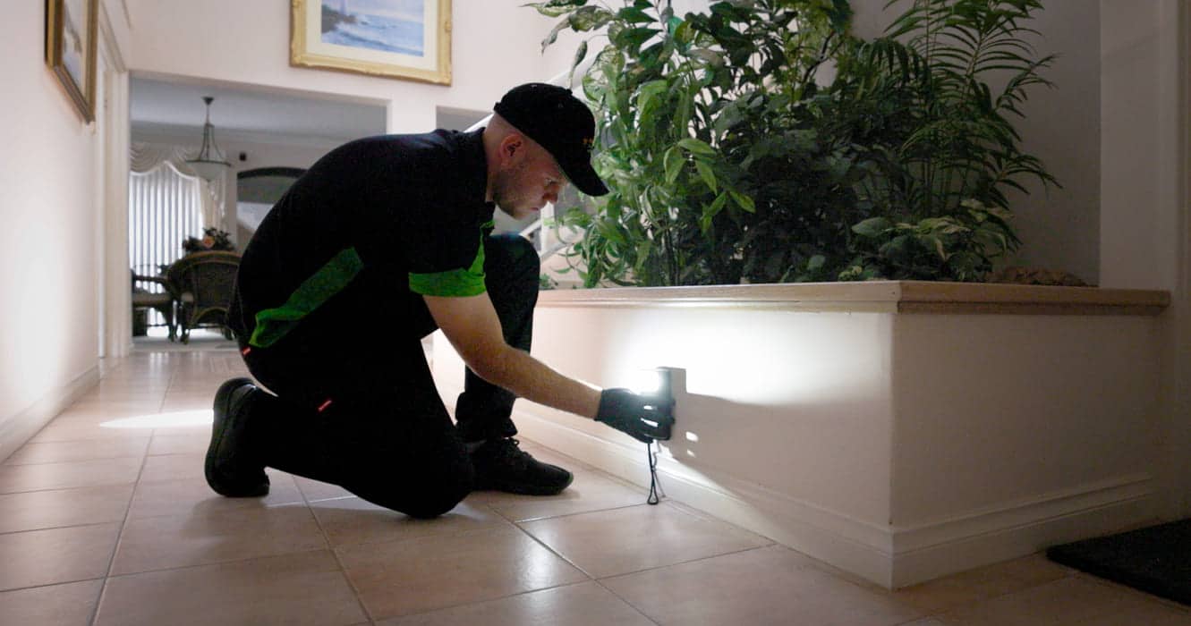 exterminator bunbury