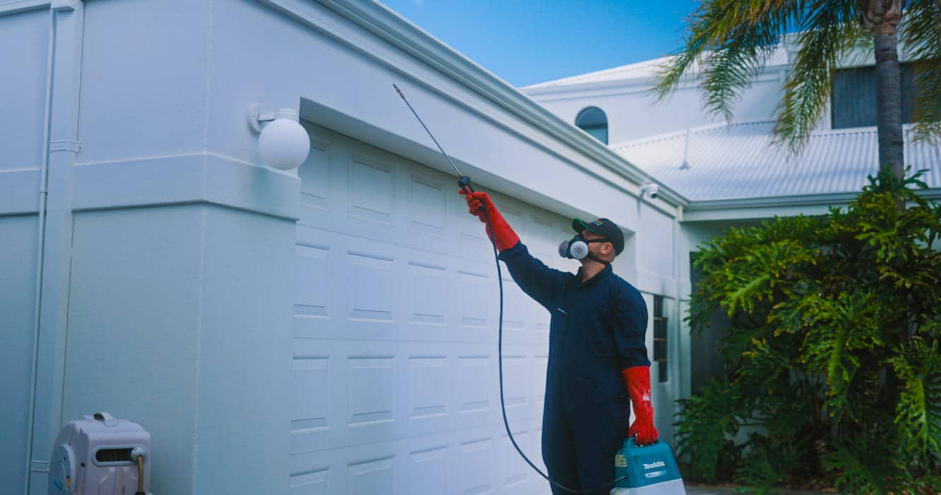 pest control bunbury prices