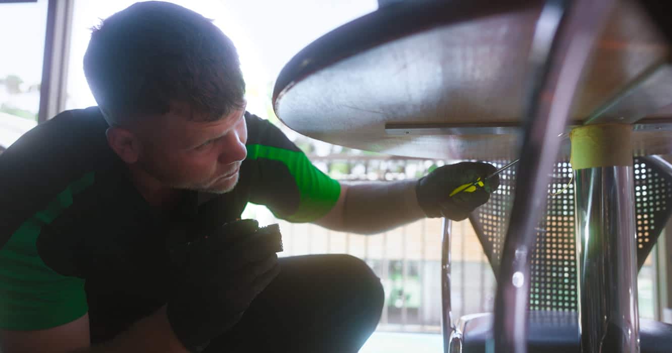 pest extermination bunbury
