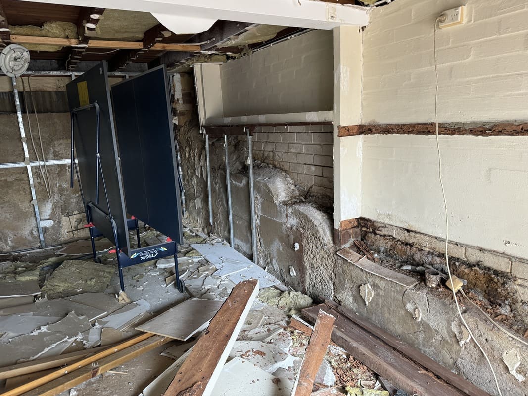termite inspections bunbury