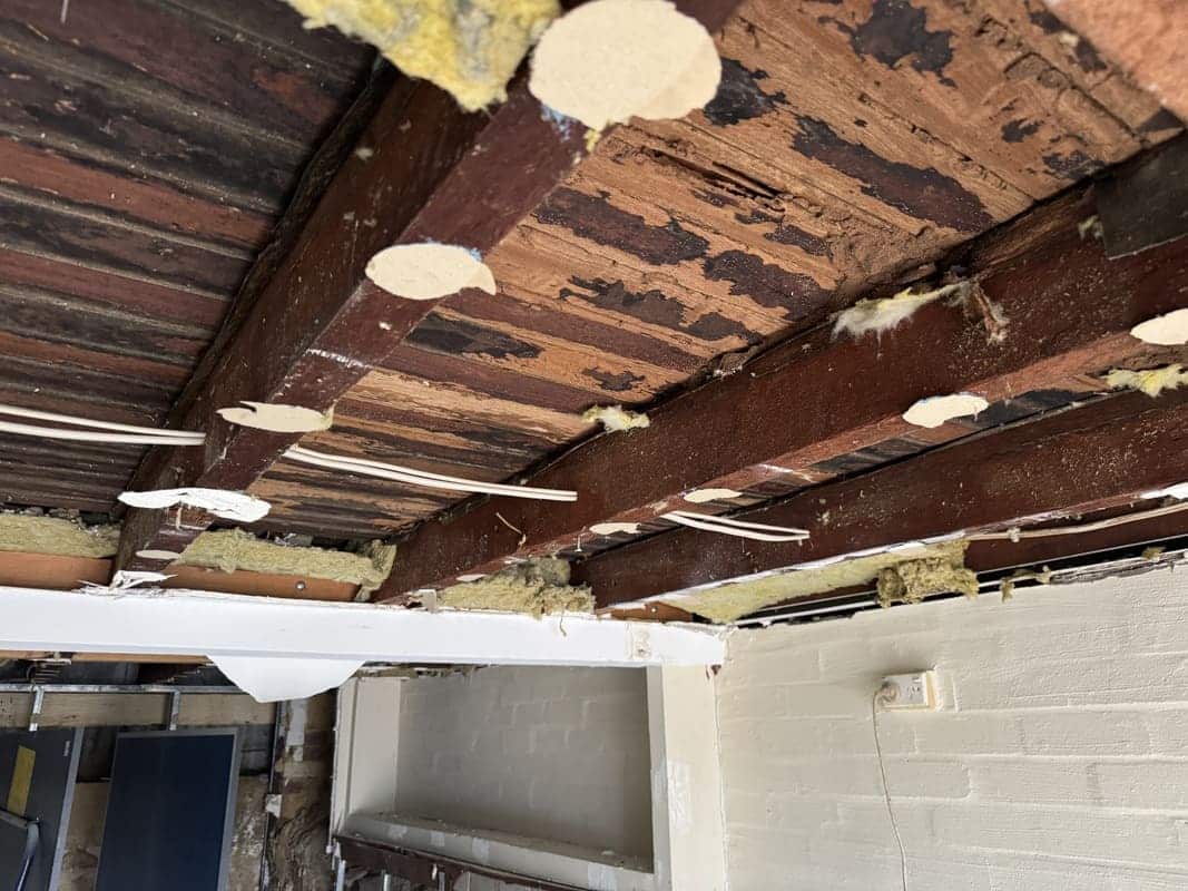 TERMITE TREATMENT Bunbury